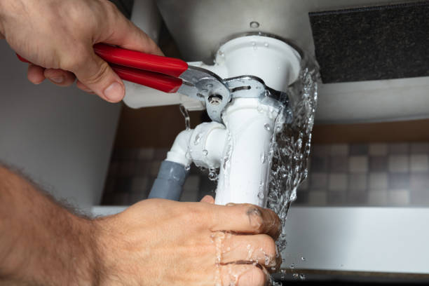 Best Mold removal after water damage  in Newport, OH
