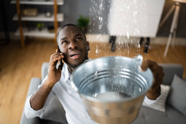  Newport, OH Water damage restoration Pros