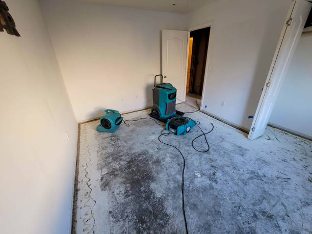 Best Carpet water damage restoration  in Newport, OH