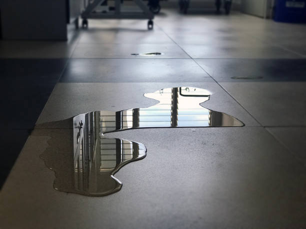 Best Water damage restoration near me  in Newport, OH