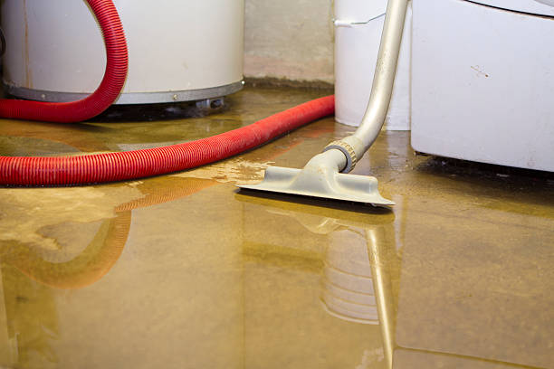 Best Local water damage restoration  in Newport, OH