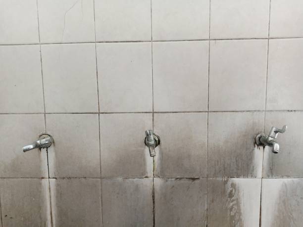 Best 24-hour water damage restoration  in Newport, OH