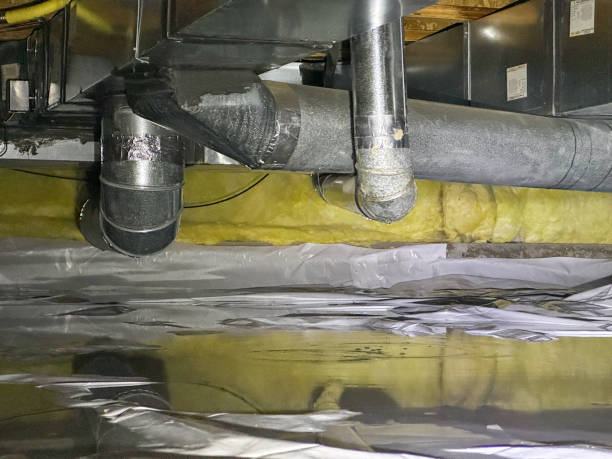 Best Flood restoration services  in Newport, OH