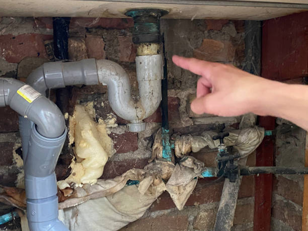 Best Sewage cleanup and water damage restoration  in Newport, OH